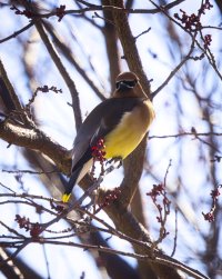 R5M21199-DxO_DeepPRIME XD2s.jpg