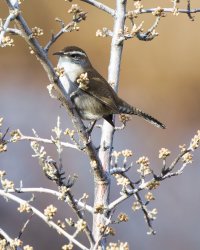 R5M21312-DxO_DeepPRIME XD2s.jpg