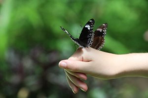 20190108_Zoo (1).JPG