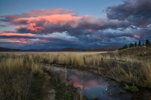 R5M23370-DxO_DeepPRIME XD2s.jpg