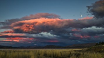 R5M23365-DxO_DeepPRIME XD2s.jpg