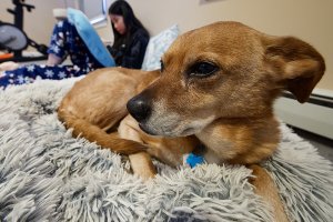 Up Close.jpg Up Close.jpg