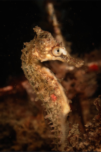 Screenshot 2026-03-08 at 3.39.24 pm.png