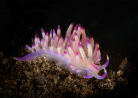 Screenshot 2026-03-08 at 3.39.42 pm.png