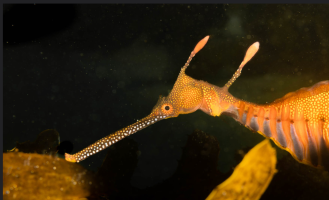 Screenshot 2026-03-08 at 3.40.03 pm.png