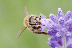 Screenshot 2026-03-08 at 3.40.41 pm.png