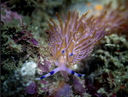 Screenshot 2026-03-08 at 3.41.06 pm.png