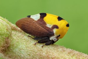 2025-05-06-08.36.52 ZS retouched copy-ps-denoise-clear.jpeg