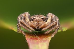 2026-03-05-06.15.24 ZS retouched copy-denoise-denoise.jpeg