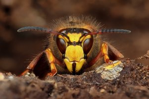 2024-10-13-09.17.58 ZS retouched-ps-denoise-denoise.jpeg