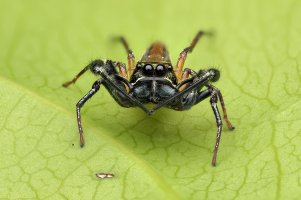 2025-05-17-04.37.05 ZS retouched-ps2-denoise-denoise.jpeg