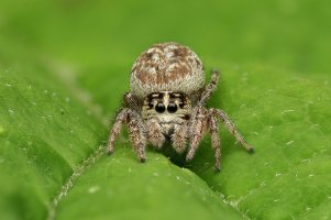 2025-07-01-08.25.43 ZS retouched-ps-denoise-denoise.jpeg