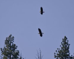 R5M25848-DxO_DeepPRIME XD2s.jpg