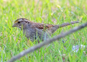 K41A9138 picasa crop ps fix-topaz2-denoise 3.jpg K41A9138 picasa crop ps fix-topaz2-denoise 3.jpg