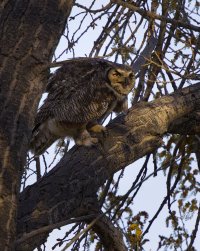 R5M27773-DxO_DeepPRIME XD2s.jpg