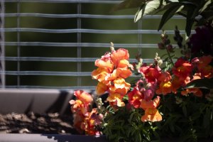 CanonNewFD500.jpg CanonNewFD500.jpg