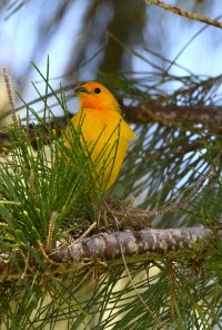 DSC_1845.jpg DSC_1845.jpg