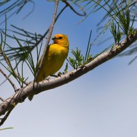 DSC_1854.jpg DSC_1854.jpg