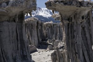 R5M28328-DxO_DeepPRIME XD2s.jpg