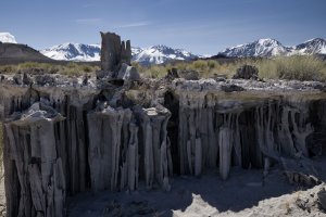 R5M28321-DxO_DeepPRIME XD2s.jpg