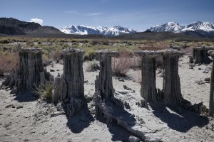 R5M28329-DxO_DeepPRIME XD2s.jpg