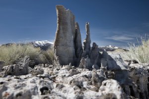 R5M28313-DxO_DeepPRIME XD2s.jpg