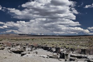 R5M28356-DxO_DeepPRIME XD2s.jpg