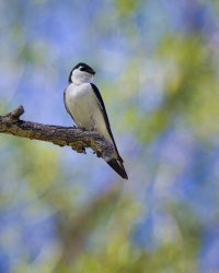 R5M27861-DxO_DeepPRIME XD2s.jpg