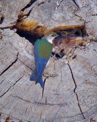 R5M27914-DxO_DeepPRIME XD2s.jpg