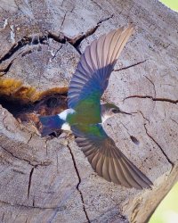 R5M27935-DxO_DeepPRIME XD2s.jpg