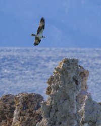 R5M28382-DxO_DeepPRIME XD2s.jpg