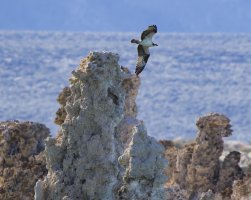 R5M28387-DxO_DeepPRIME XD2s.jpg