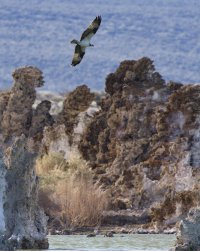 R5M28393-DxO_DeepPRIME XD2s.jpg