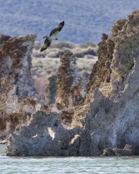 R5M28401-DxO_DeepPRIME XD2s.jpg