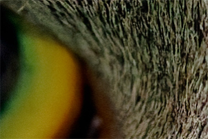 Screenshot 2026-04-02 at 9.36.41 PM.png