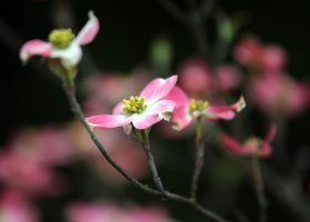 5D3_3714 picasa crop and fix-topaz2-denoise.JPG