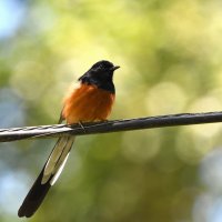 DSC_2976.jpg DSC_2976.jpg