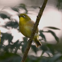 DSC_2929.jpg DSC_2929.jpg