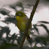 DSC_2940.jpg DSC_2940.jpg