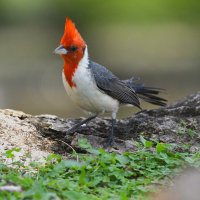 DSC_3030.jpg DSC_3030.jpg