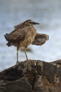 DSC_3060.jpg DSC_3060.jpg