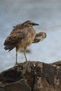 DSC_3062.jpg DSC_3062.jpg