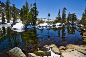 R5M28505-DxO_DeepPRIME XD2s (1).jpg