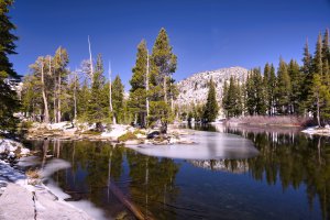 R5M28500-DxO_DeepPRIME XD2s (1).jpg