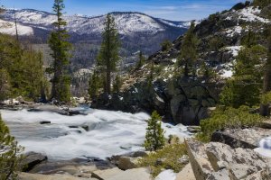 R5M28521-DxO_DeepPRIME XD2s.jpg