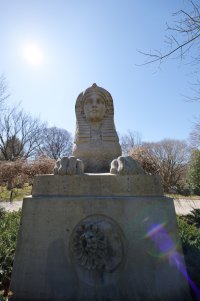 Mount Auburn Sphinx.jpg