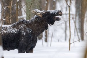 R1__6674.jpg R1__6674.jpg