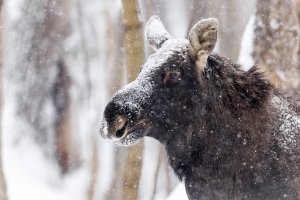 R1__7999.jpg R1__7999.jpg