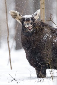 R1__8213.jpg R1__8213.jpg