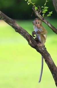 _AV_8476 - copie.JPG